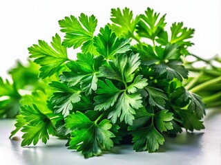 Fototapeta premium Vibrant Green Parsley Leaves on White Background - Fresh Culinary Herb with Copy Space for Food Photography and Cooking Inspiration in a Modern Kitchen Setting