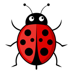 ladybug