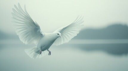 Obraz premium Graceful White Bird in Flight Over Serene Water Landscape