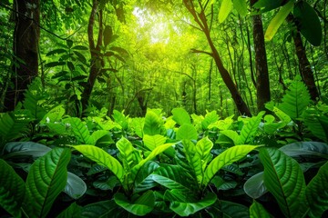 Obraz premium Revitalizing forests strategies for restoration and ecosystem conservation efforts