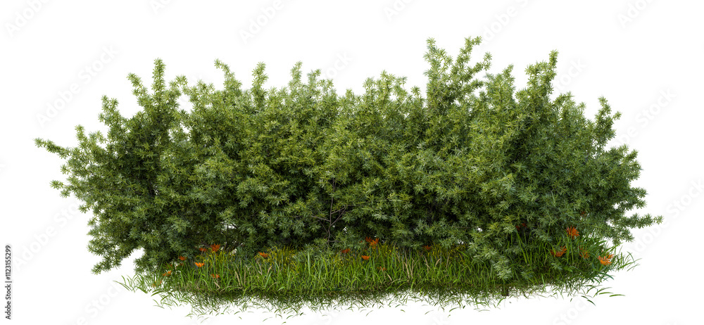 Poster png small tree group with grass group, 3d illustration rendering