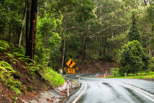 Slippery road bend on rainy day through Australian bushland with recommended speed sign of 45 km/h