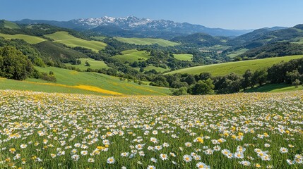 Expansive meadow blanketed with wildflowers, rolling hills, and snow-capped mountains in the background. Lush, vibrant, and picturesque scenery.