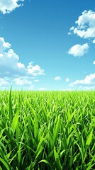 Obraz premium A close-up shot of a freshly cut green grass field with a few blades swaying gently in the breeze, set against a bright blue sky with puffy white clouds, natural surroundings, sports equipment.