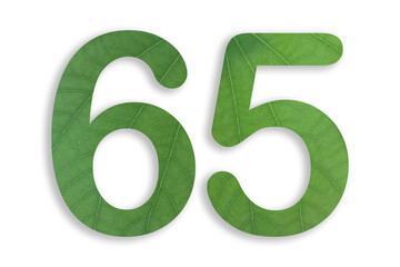 65, number shape with leaf motif design isolated on transparent background