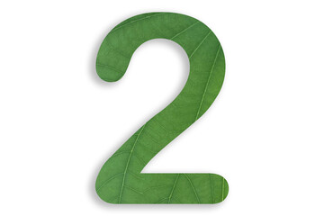 Fototapeta premium 2, number shape with leaf motif design isolated on transparent background