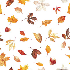 Obraz premium Autumn Leaves Pattern on Transparent Background