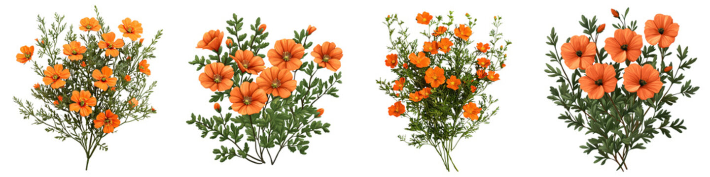 Vibrant Orange Globemallow Bush Blooming in Arid Desert Landscape  of Native Desert Shrub with Bright Green Foliage and Colorful Flowers