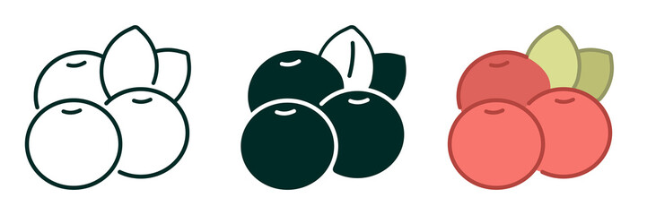 Cranberry Fruit icon collection simple design Editable Transparent isolate background