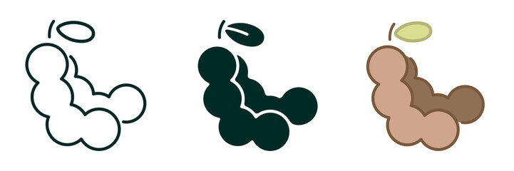 Tamarind Fruit icon collection simple design Editable Transparent isolate background