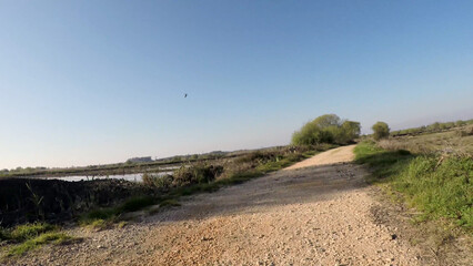 Point of view shot of riding a bicycle