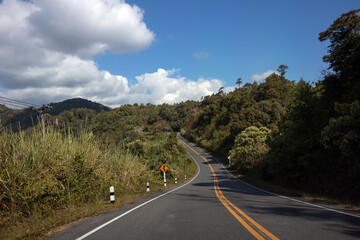 Obraz premium Scenic winding road through lush greenery and mountains under a blue sky with fluffy clouds.