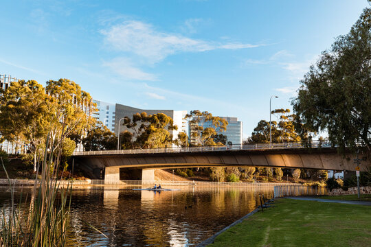 Rowers underneath the Montefiore Road Bridge crossing the River Torrens in the Adelaide CBD