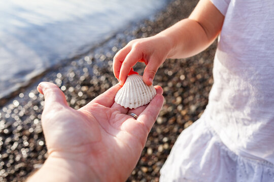 hand holding seashell found on shore of coastal lake with child touching shell