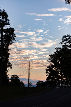 power ole and electricity wires silhouetted in gap between trees at dusk
