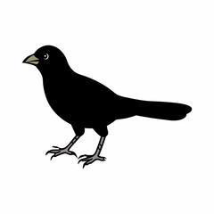 Fototapeta premium a crow bird beautiful design silhouette art 