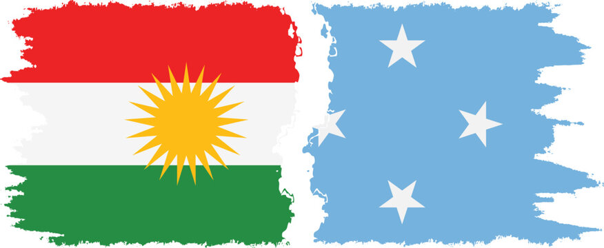 Federated States of Micronesia and  Kurdistan grunge flags connection, vector