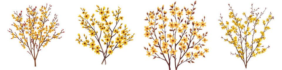 rendering of a vibrant  colorful witch hazel bush in full winter bloom  showcasing its delicate flowers and branching stems against a natural background