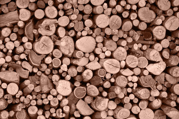 Cross section of tree trunks background. Demonstrating color of 2025 year mocha mousse