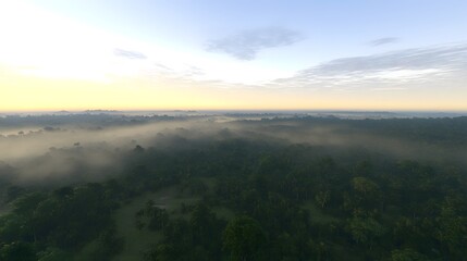 A serene aerial view of a misty forest at dawn, showcasing nature's tranquility.