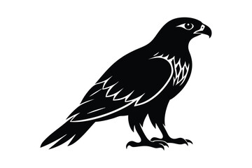 Obraz premium Red-tailed Hawk silhouette vector art 