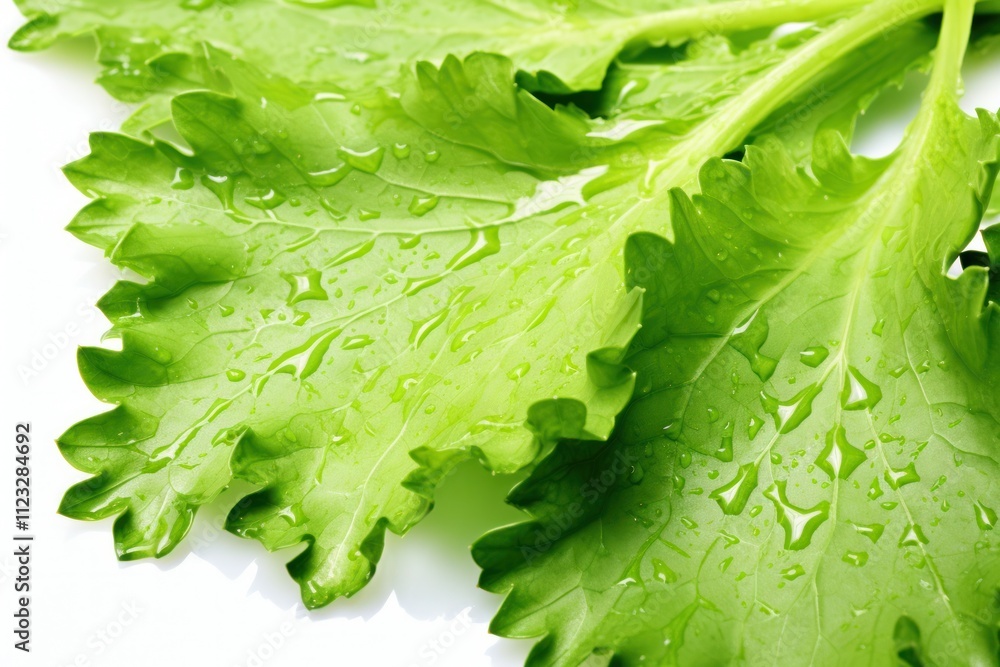 Poster detailed macro shot of fresh celery leaves, highlighting the rich, glossy surface and fine veins tha