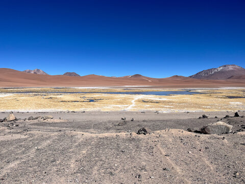 Salar e Laguna de Tara no Deserto do Atacama, Chile: Beleza Selvagem e Paisagens Andinas
