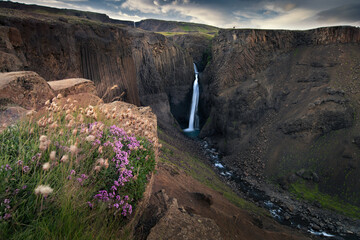 Generated image © Sieku Photo