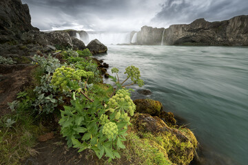 cliffs of moher © Sieku Photo