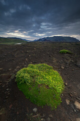 Islandia  © Sieku Photo