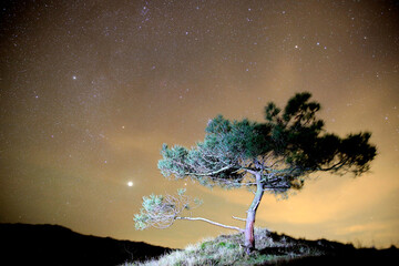 Night sky at the Boschplaat, Terschelling, The Netherlands