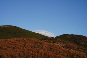 Fototapeta premium Autumn mountain top with autumn leaves