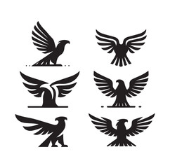 Eagle bird icon Silhouette vector illustration
