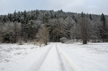 Fototapeta premium Field path with trees and snow