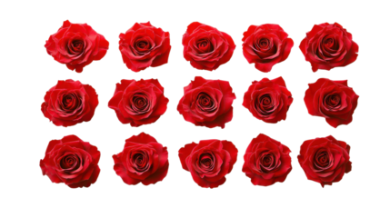 Red Roses Arrangement on Black Background for Elegant Designs