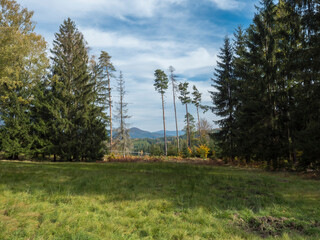 Meadow with autumn colorful forest, trees and hills, blue sky. Landscape in Luzicke hory Lusatian Mountains, Czech Republic.