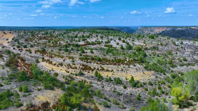 Landscape at the Roman Aqueduct of the village of Zaorejas. Aerial view from drone. Molina Alto Tajo Geopark. Alto Tajo Natural Park. Guadalajara. Castilla la Mancha. Spain. Europe. Rewilding Europe