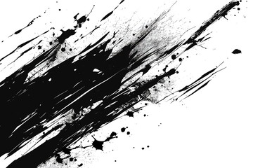 Abstract Black and White Splatter Artwork