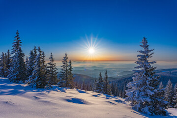 Fototapeta premium Shiny sunshine during frosty morning in the snowy mountains in winter.