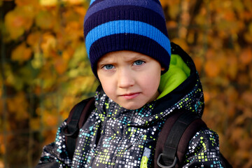 An attentive and serious little boy in a hat, jacket and with a backpack on his back walks home from school in the fall against the backdrop of autumn leaves.