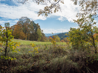 Meadow with autumn colorful forest, trees and hills, blue sky. Landscape in Luzicke hory Lusatian Mountains, Czech Republic.