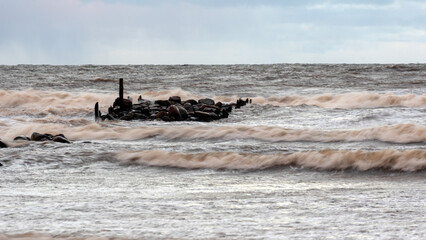 dramatic storm in the Baltic Sea, large waves crashing against the stone pier, blurred, unclear...