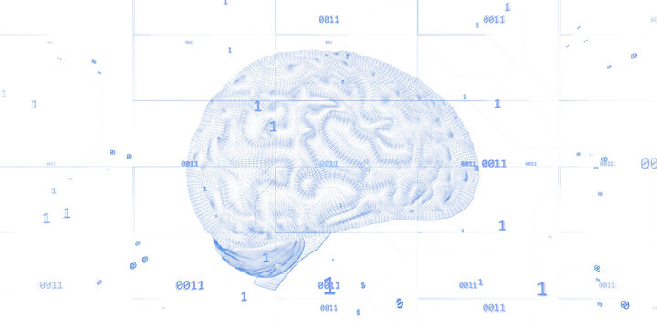 Human brain in digital wireframe design with binary codes on white background, holographic style, concept of virtual intelligence tech. 3D Rendering.