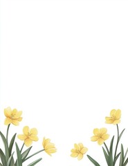 Obraz premium Yellow flowers and green leaves frame on white background with copy space. Celebration design