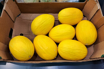 Ripe Yellow Honeydew Melons in Cardboard Box Displayed at Supermarket Fresh Produce Aisle