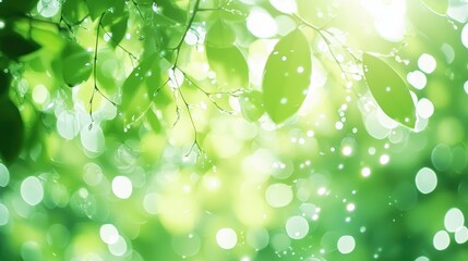 Naklejka premium Luminous Green Leaves with Water Droplets in Soft Focus Background