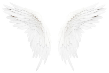Fototapeta premium Angel wings isolated on a transparent background.