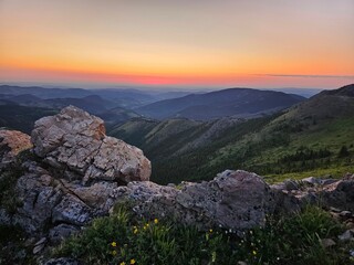 Early morning dawn sunrise landscape taken at the top of a large hill with rocks and small yellow wildflowers in the foreground.