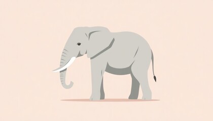Fototapeta premium elephant flat design