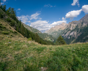 Fototapeta premium Mountain landscape with green slopes pine trees dramatic rocky peaks
